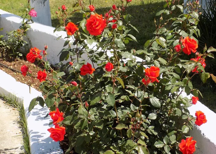 Jerry's Lassi شقة *